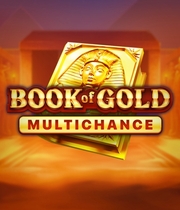Book of Gold Multichance